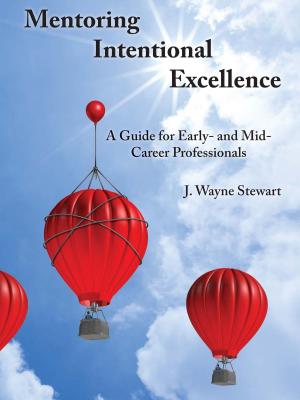 Book cover of Mentoring Intentional Excellence: A Guide for Early- and Mid-Career Professionals