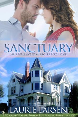 Cover of the book Sanctuary by Steven Burton
