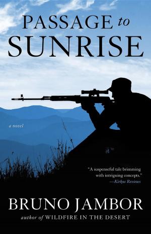 Cover of the book Passage to Sunrise by Pankaj Misra