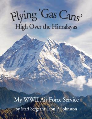 Cover of the book Flying 'Gas Cans' High Over the Himalayas by Jürgen Prommersberger