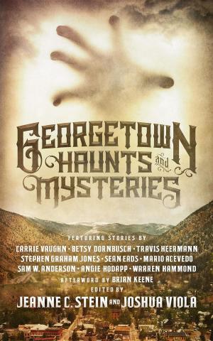 Cover of Georgetown Haunts and Mysteries