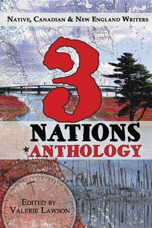 Cover of the book 3 Nations by Adam Mansbach