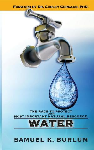 Cover of the book The Race to Protect Our Most Important Natural Resource by Turid Rugaas