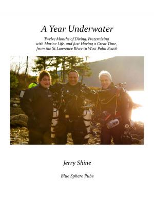 Cover of the book A Year Underwater by Christopher Ricciardiello