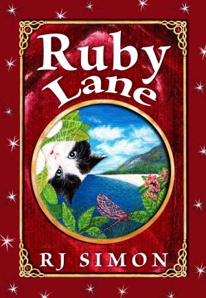 Cover of the book Ruby Lane by Barbara Cohea