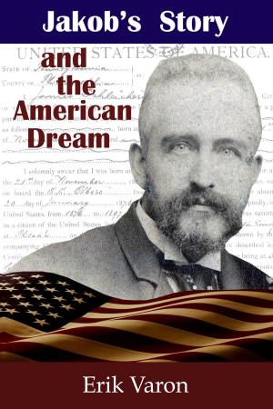 Cover of the book Jakob's Story and the American Dream by David Blake