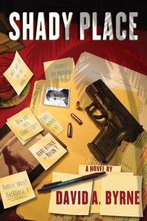 Cover of the book Shady Place by Cynthia E. Hurst