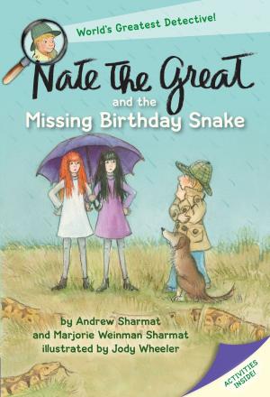 bigCover of the book Nate the Great and the Missing Birthday Snake by 