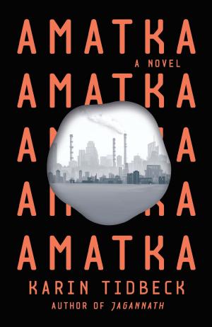 Cover of the book Amatka by Jan Morris