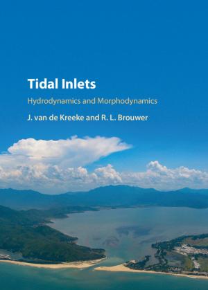 Cover of the book Tidal Inlets by Eleonora Porcu, Patrizia Ciotti, Stefano Venturoli
