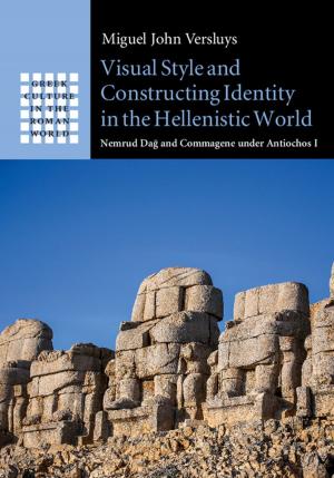 Cover of the book Visual Style and Constructing Identity in the Hellenistic World by Gail Daley