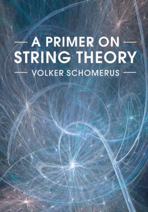 Cover of A Primer on String Theory