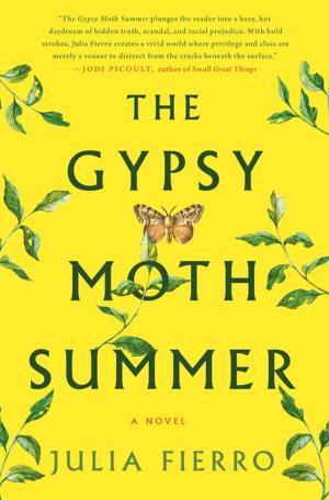 Book cover of The Gypsy Moth Summer