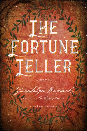 Book cover of The Fortune Teller