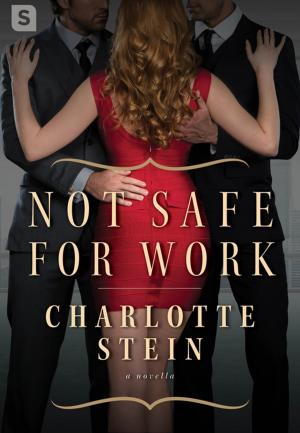 Cover of the book Not Safe for Work by Jenna Black