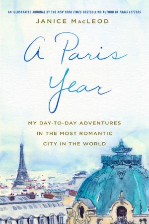 Cover of the book A Paris Year by Chris Ewan
