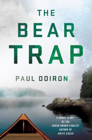 Cover of the book The Bear Trap by Sue Frederick