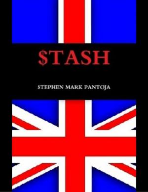 Cover of the book Stash by Gintaras Kavarskas