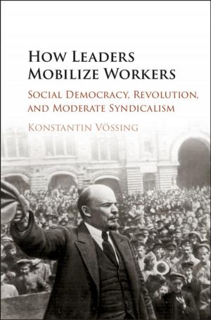 Cover of the book How Leaders Mobilize Workers by Thomas W. Baumgarte, Stuart L. Shapiro
