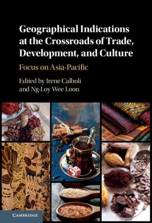 Cover of the book Geographical Indications at the Crossroads of Trade, Development, and Culture by 