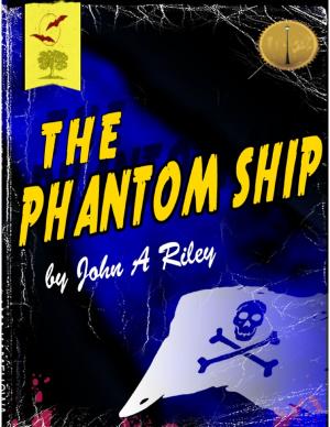 Cover of the book The Phantom Ship by Danielle Beavers