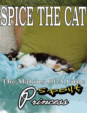 Cover of the book Spice the Cat: The Making of a Little Spoilt Princess by Leslie K. McDaniel
