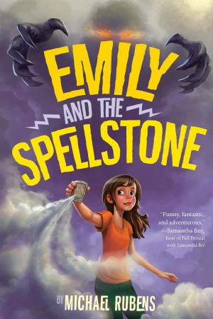 Cover of the book Emily and the Spellstone by Joe Schreiber