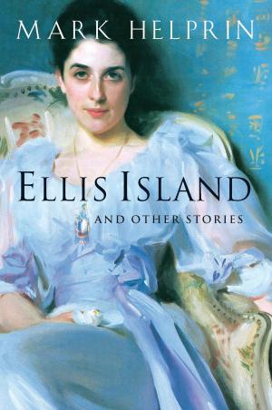 Cover of the book Ellis Island and Other Stories by Lukas Volger, Michael Harlan Turkell