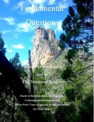 Cover of the book Fundamental Questions - Pointers to Awakening and to the Nature of Reality by Tony Pay