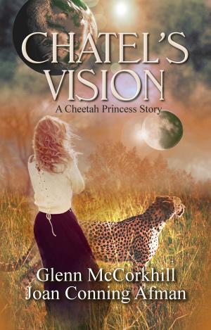 Cover of the book Chatel's Vision by Mauritz Mostert