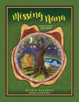 Cover of the book Missing Nana: Lessons from the Nature Spirits by Midwestern Gothic