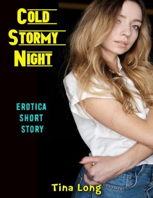 Book cover of Cold Stormy Night: Erotica Short Story