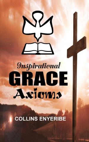 bigCover of the book Inspirational Grace Axioms by 