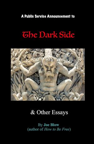 Cover of A Public Service Announcement to the Dark Side and Other Essays