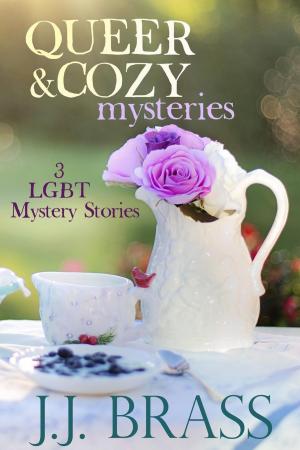 Cover of the book Queer and Cozy Mysteries: 3 LGBT Mystery Stories by J.J. Brass