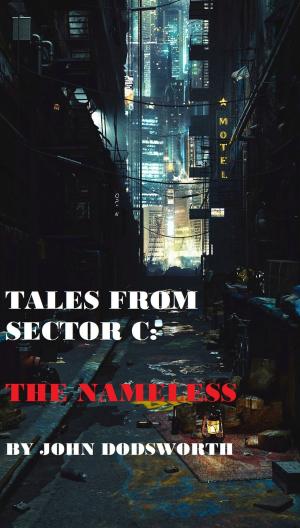 bigCover of the book The Nameless by 