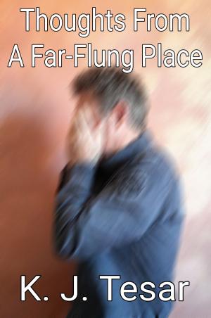 Cover of the book Thoughts From A Far-Flung Place by David Hearn