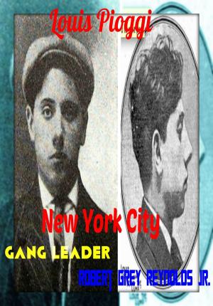 Cover of the book Louis Pioggi New York City Gang Leader by Kevin Pampling