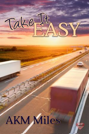 Cover of the book Take It EASY by Michael Gouda