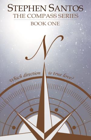 Cover of the book N Book 1: The Compass Series by Diana Ferrare-Magaldi