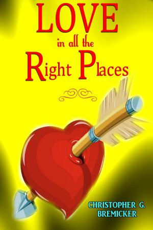Cover of the book Love in All the Right Places by Michelle St. Claire