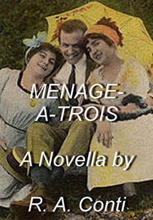 Cover of the book Menage-a-Trois by Virginia Nelson