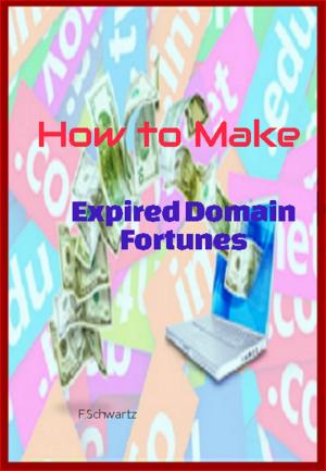 Cover of the book How to Make Expired Domain Fortunes by F. Schwartz