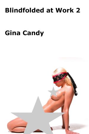 Cover of the book Blindfolded at Work 2 by Gina Candy