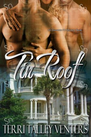 Cover of the book Tin Roof by Cora Reilly
