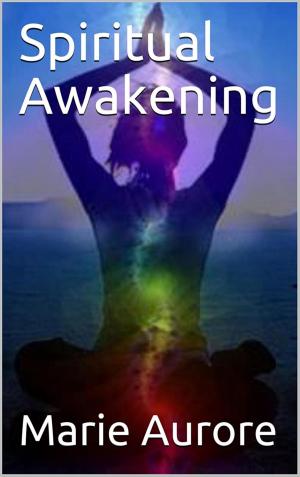 Cover of the book Spiritual Awakening by Brian Michael Good