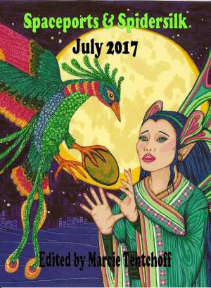 Cover of the book Spaceports & Spidersilk July 2017 by J Alan Erwine, Joshua Kviz
