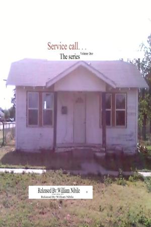 Cover of the book Service Call. . . The Series Volume One by Nathaniel Hawthorne