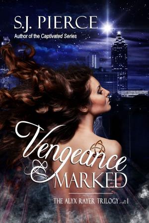 Cover of the book Vengeance Marked by Chris Liberty