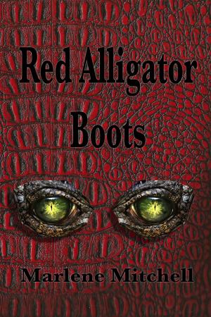Cover of the book Red Alligator Boots by Shanora Williams